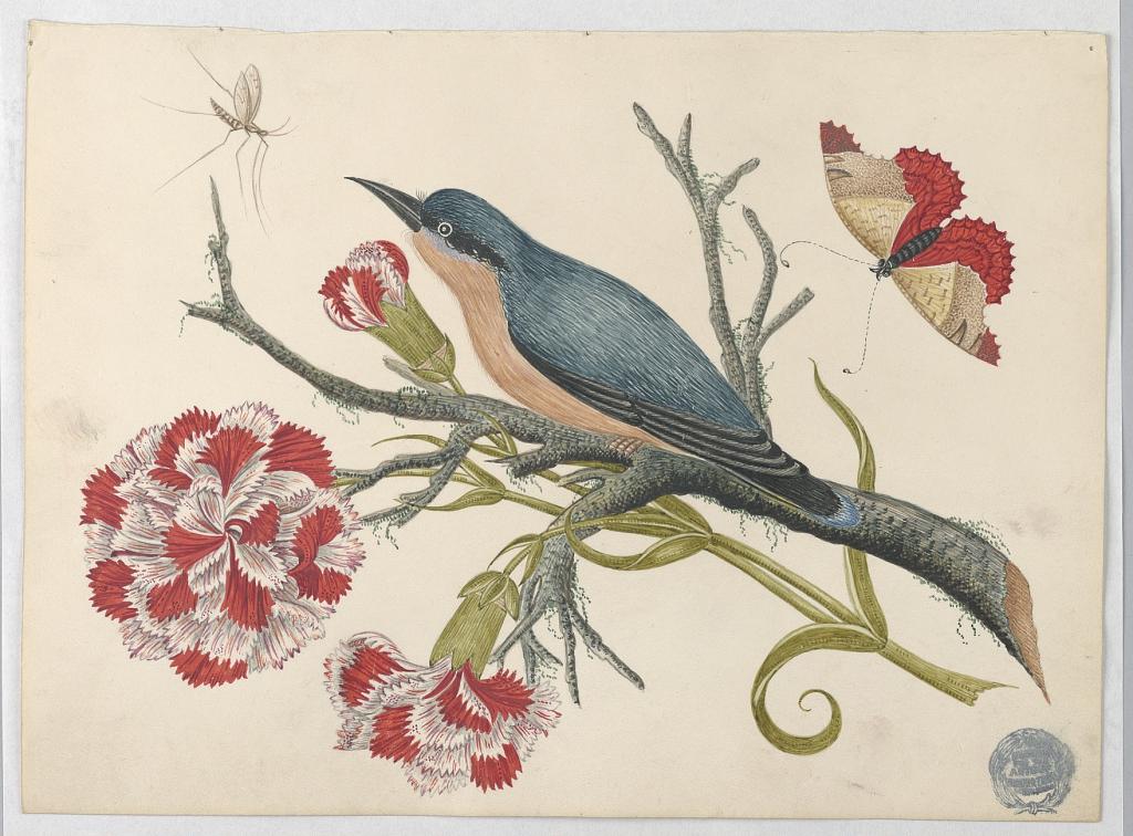 Blue Bird on Branch with Carnations and Insects