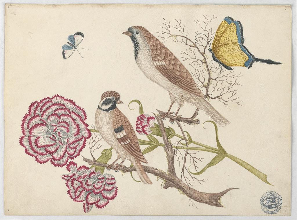 Two Brown Birds with Carnations and Butterflies