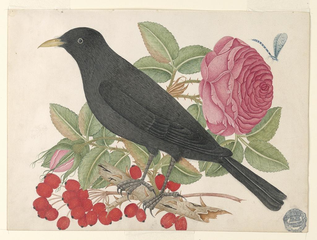 Black Bird with Roses