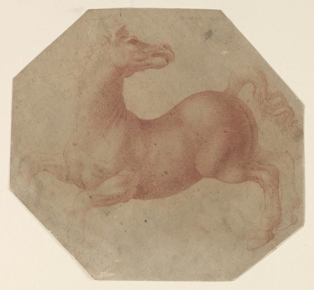 Study of a Rearing Horse after Leonardo da Vinci
