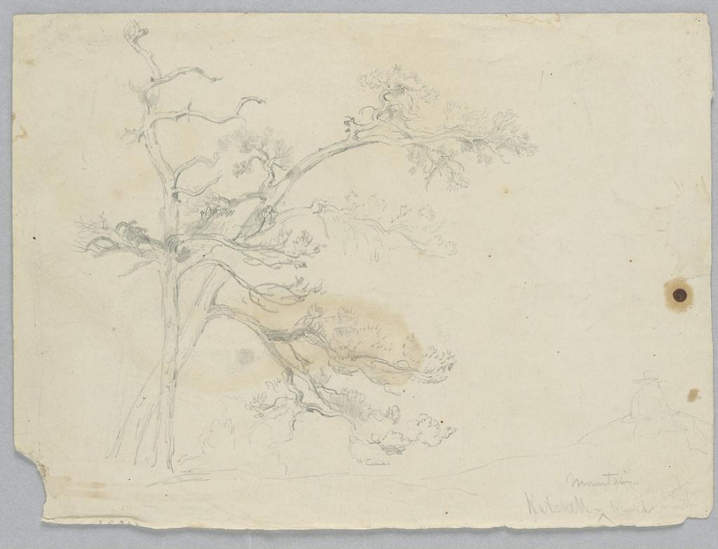 Study of Two Pines, Catskill Mountains