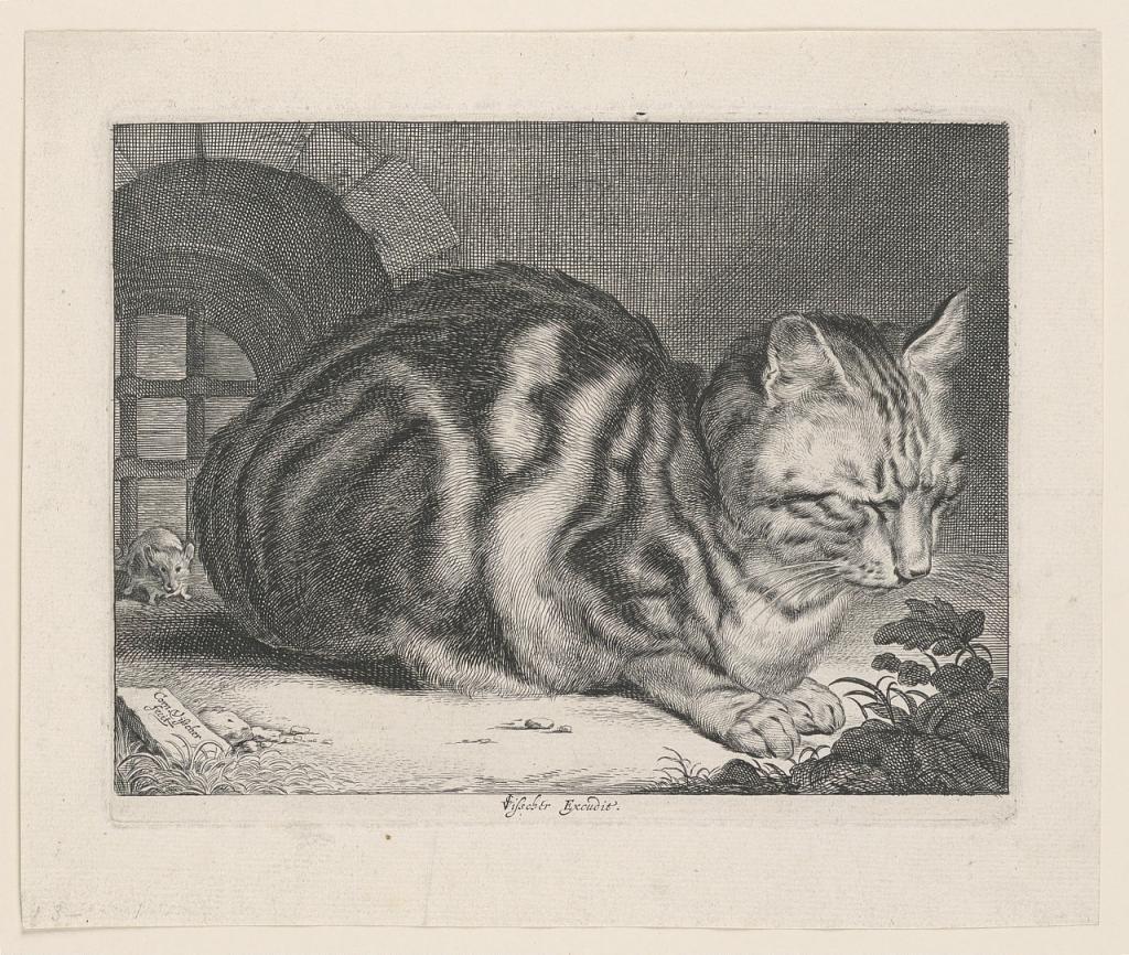 The Large Cat