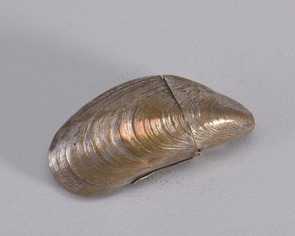 Mussel Shell