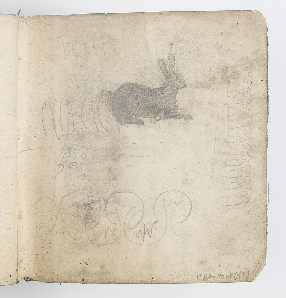 Sketchbook Page: Sketch of Rabbit