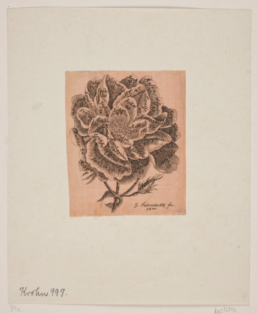 Titelkobber: En jubel-rose