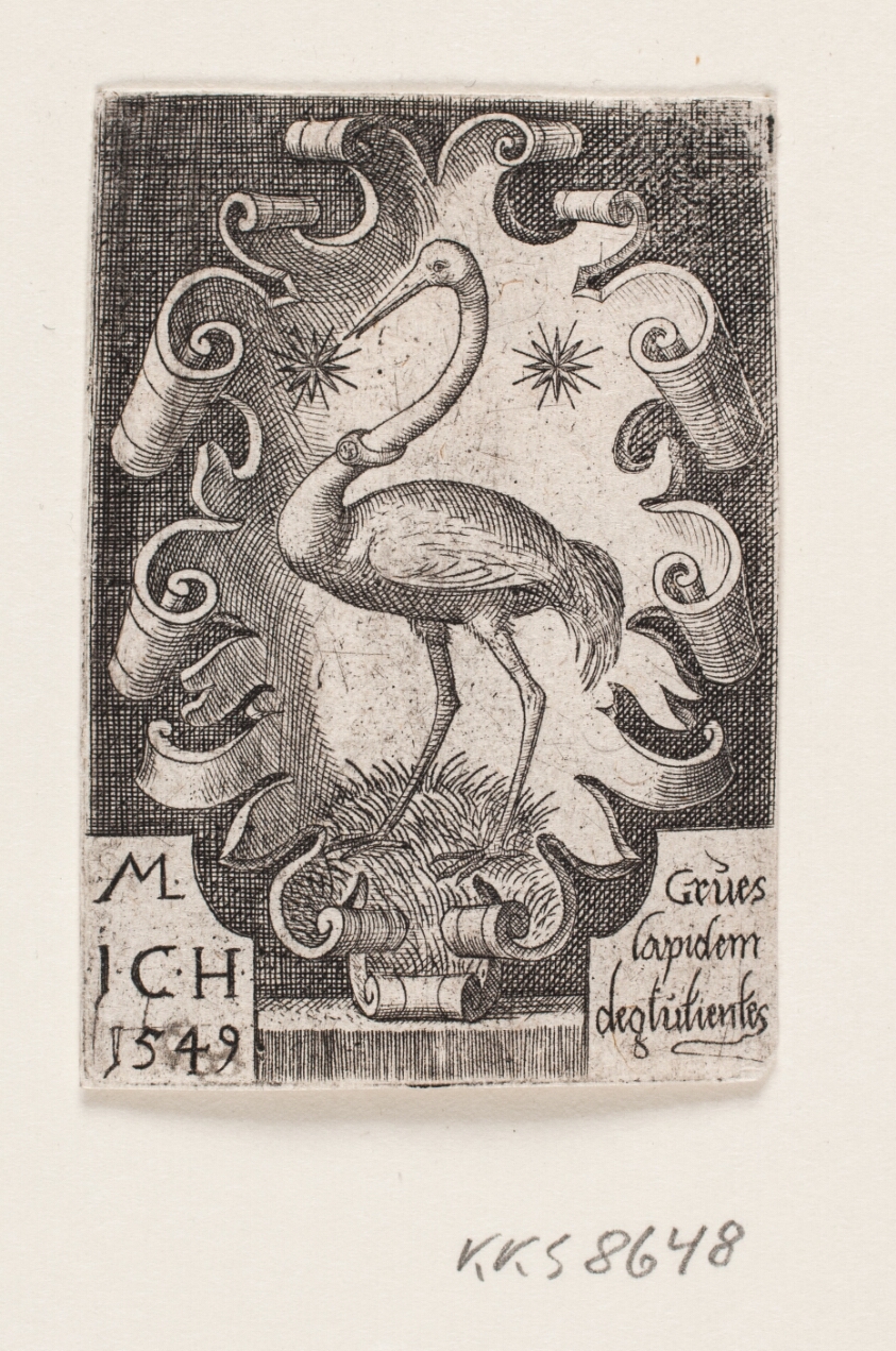 The crane