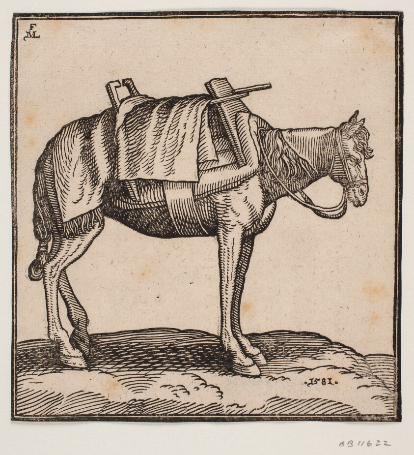 A saddled-up carrier-horse