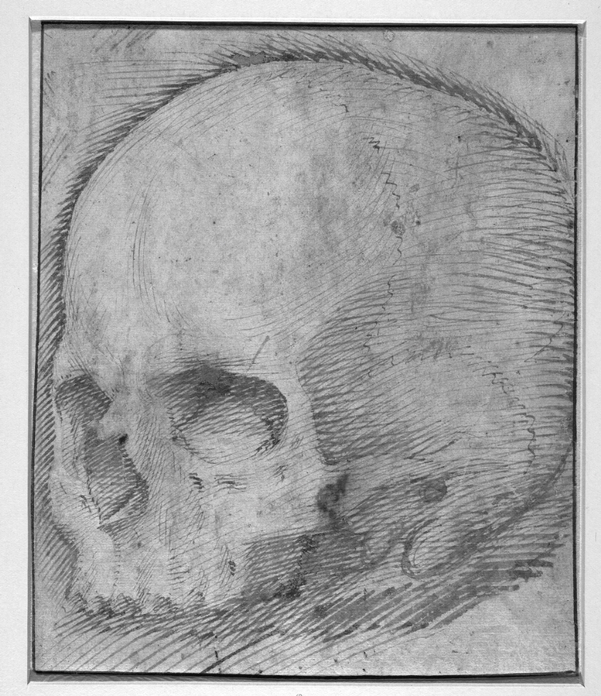 Skull