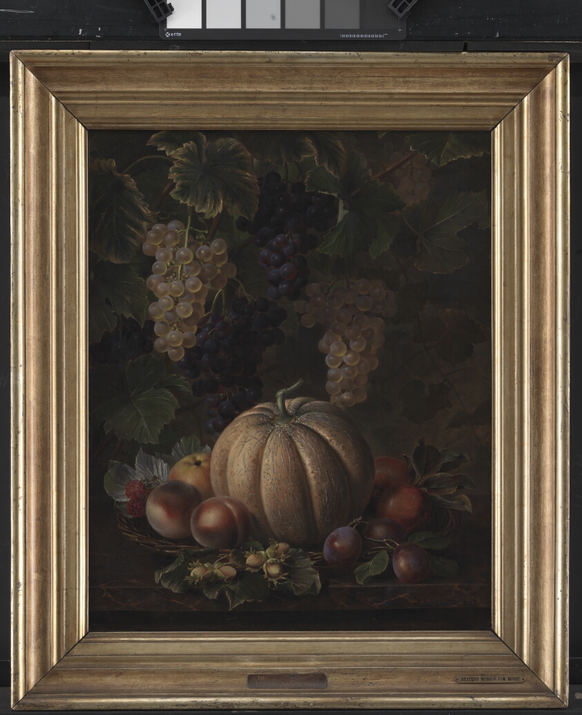 Various Fruits, including Melon and Grapes